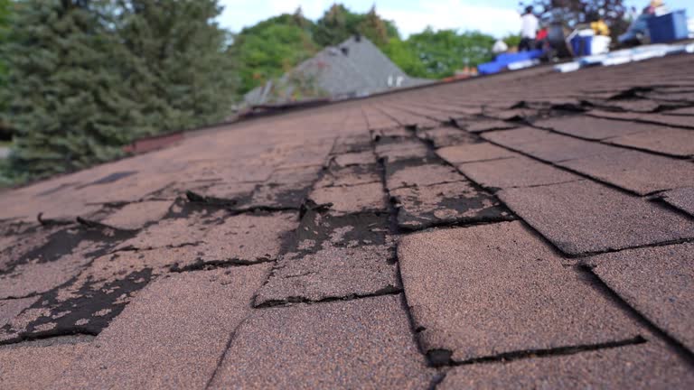 Best Roof Leak Repair  in Philadelphia, MS