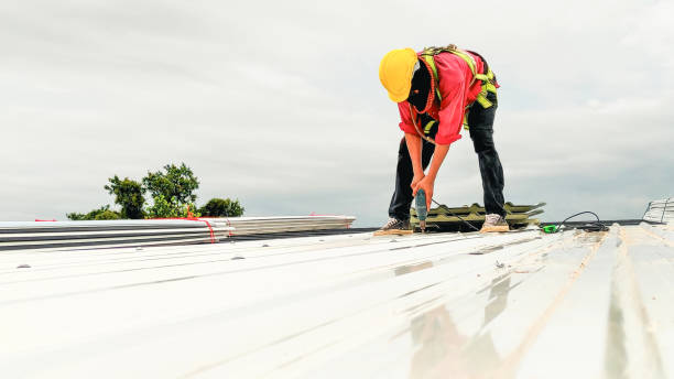 Best Roof Ventilation Installation  in Philadelphia, MS